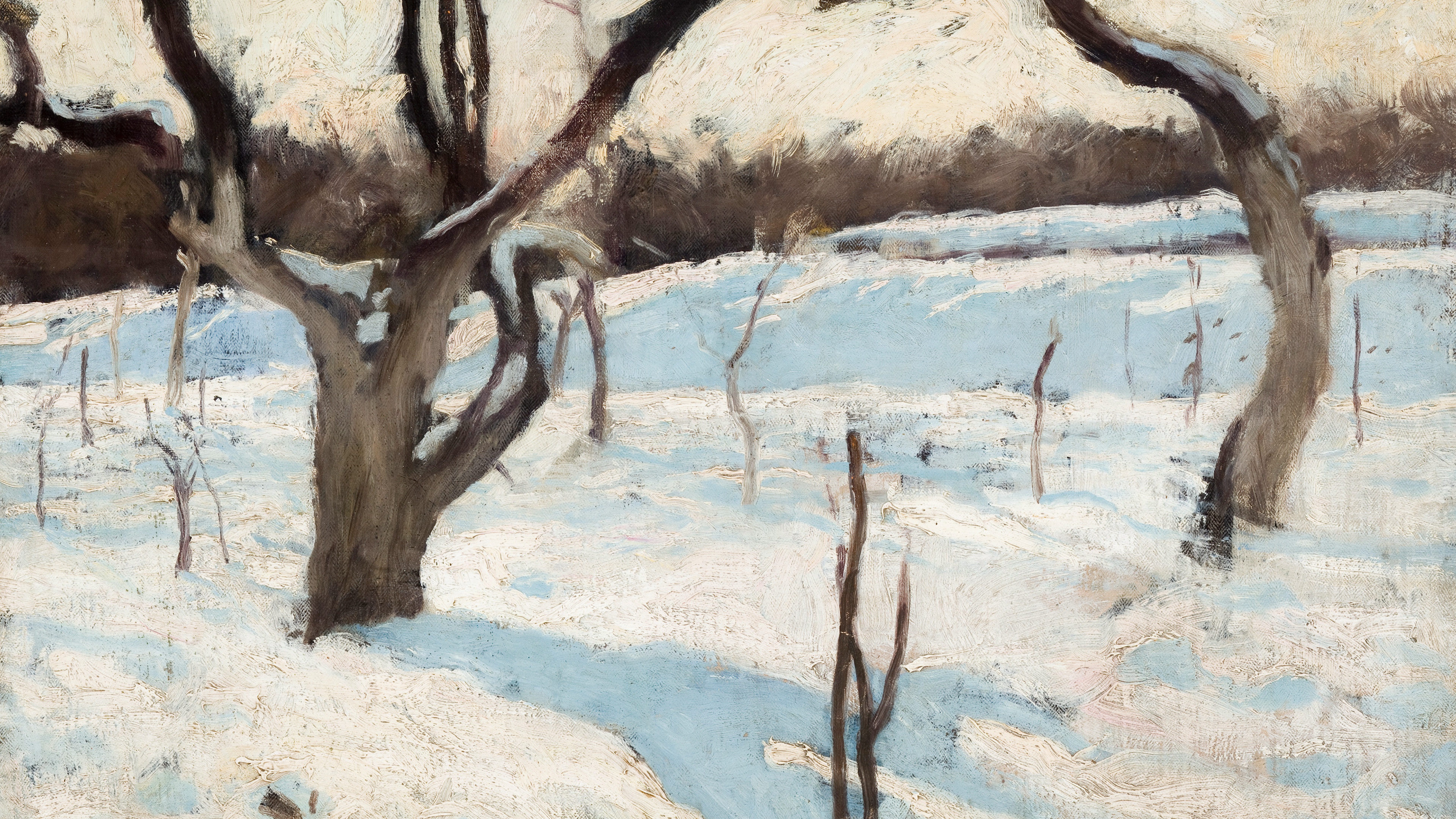 Silent Winter Orchard